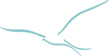 Red Kite Logo